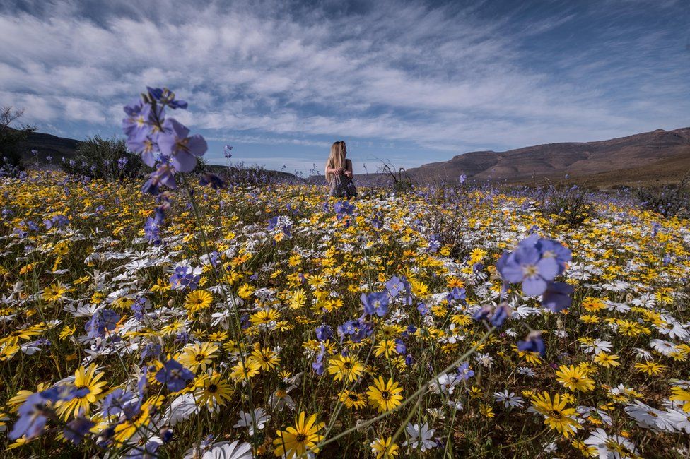 A woman surrounded by flowers in the desert